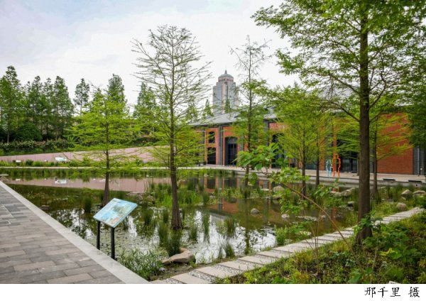 牛策略 2000平方米！上海首座生境花园建成开放