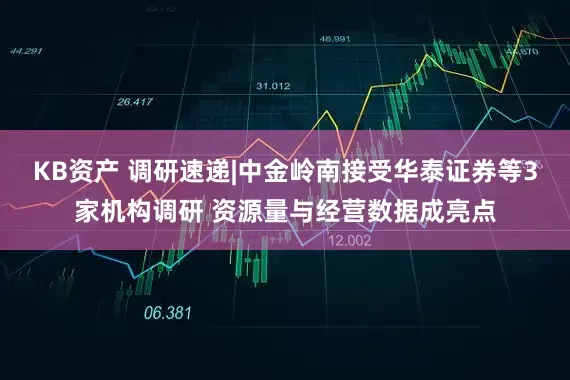 KB资产 调研速递|中金岭南接受华泰证券等3家机构调研 资源量与经营数据成亮点